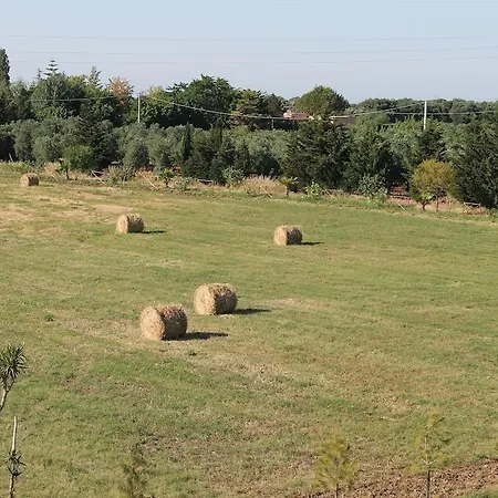 Bed & Breakfast Tenuta Rinella Mesagne