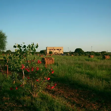Tenuta Rinella * メザーニェ
