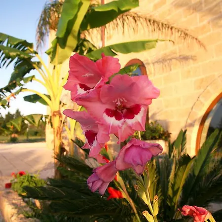 Tenuta Rinella Bed & Breakfast